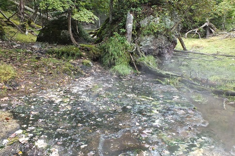 阿寒川ウェンフラ湯7