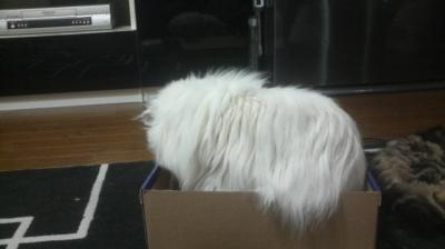 2012020518310000_convert_20120206094543.jpg