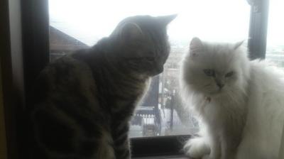 2012030806540000_convert_20120308100903.jpg