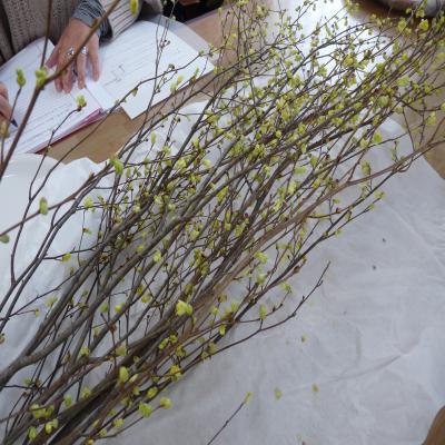 2012.3.21お花