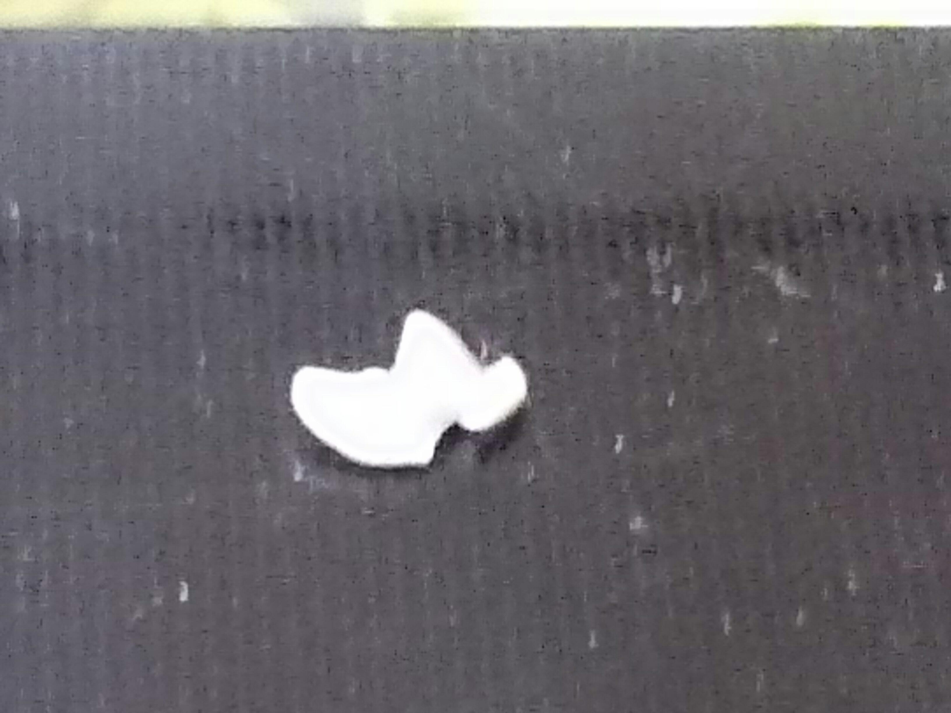 20140920012812e43.jpg