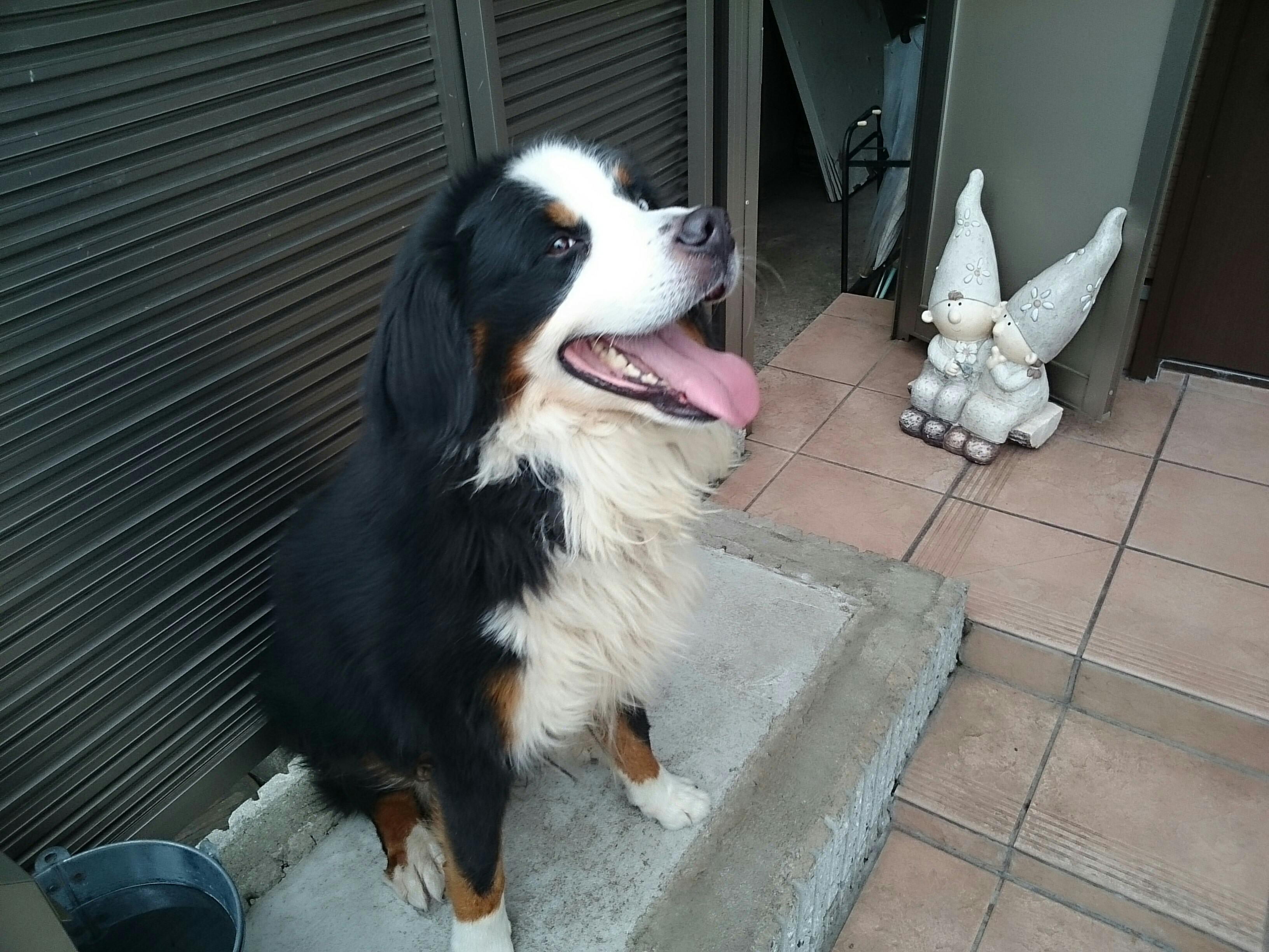 20140920150746012.jpg
