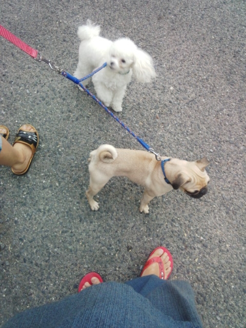 20140920181156be4.jpg