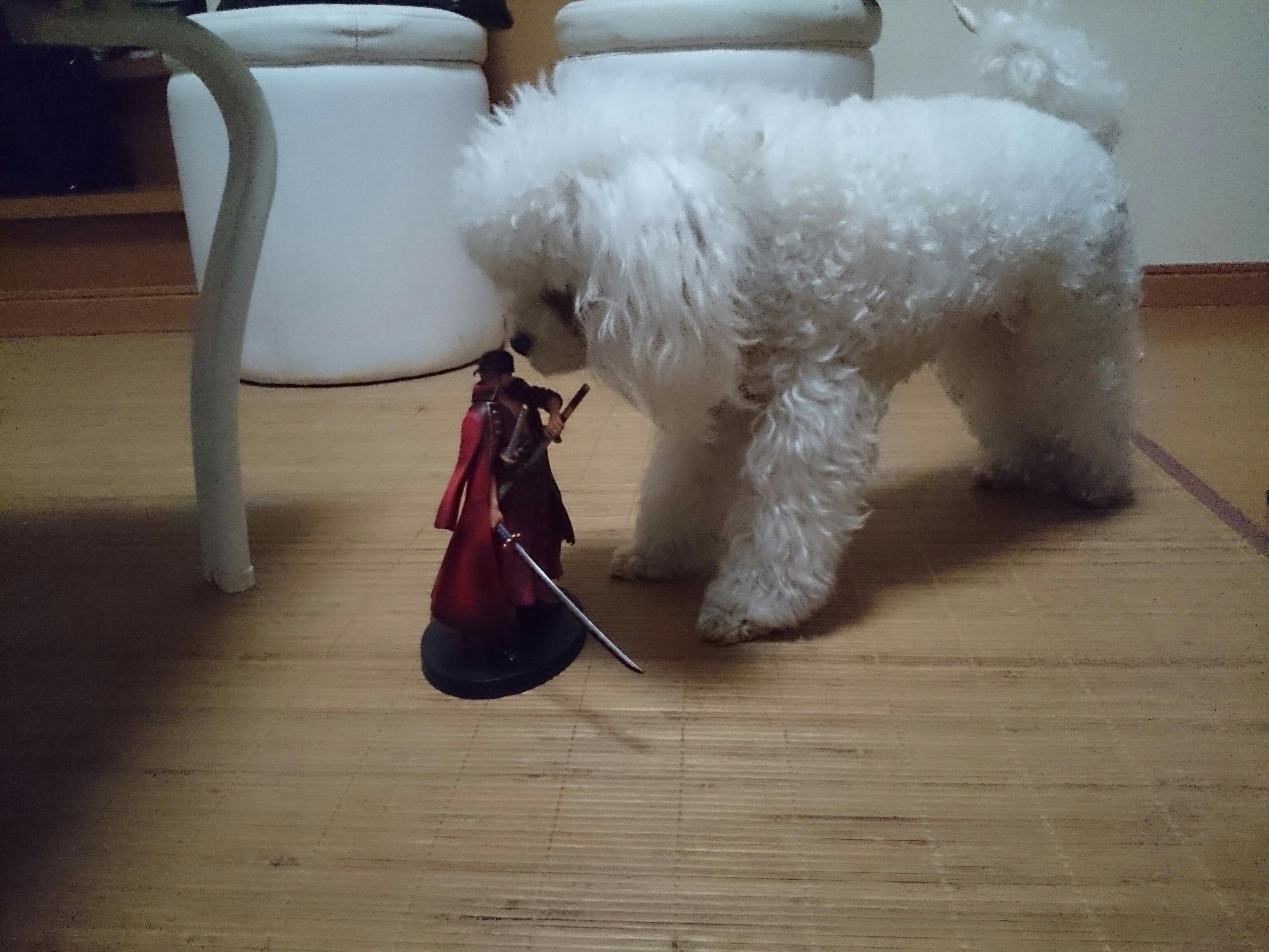 20141007014439fe1.jpg