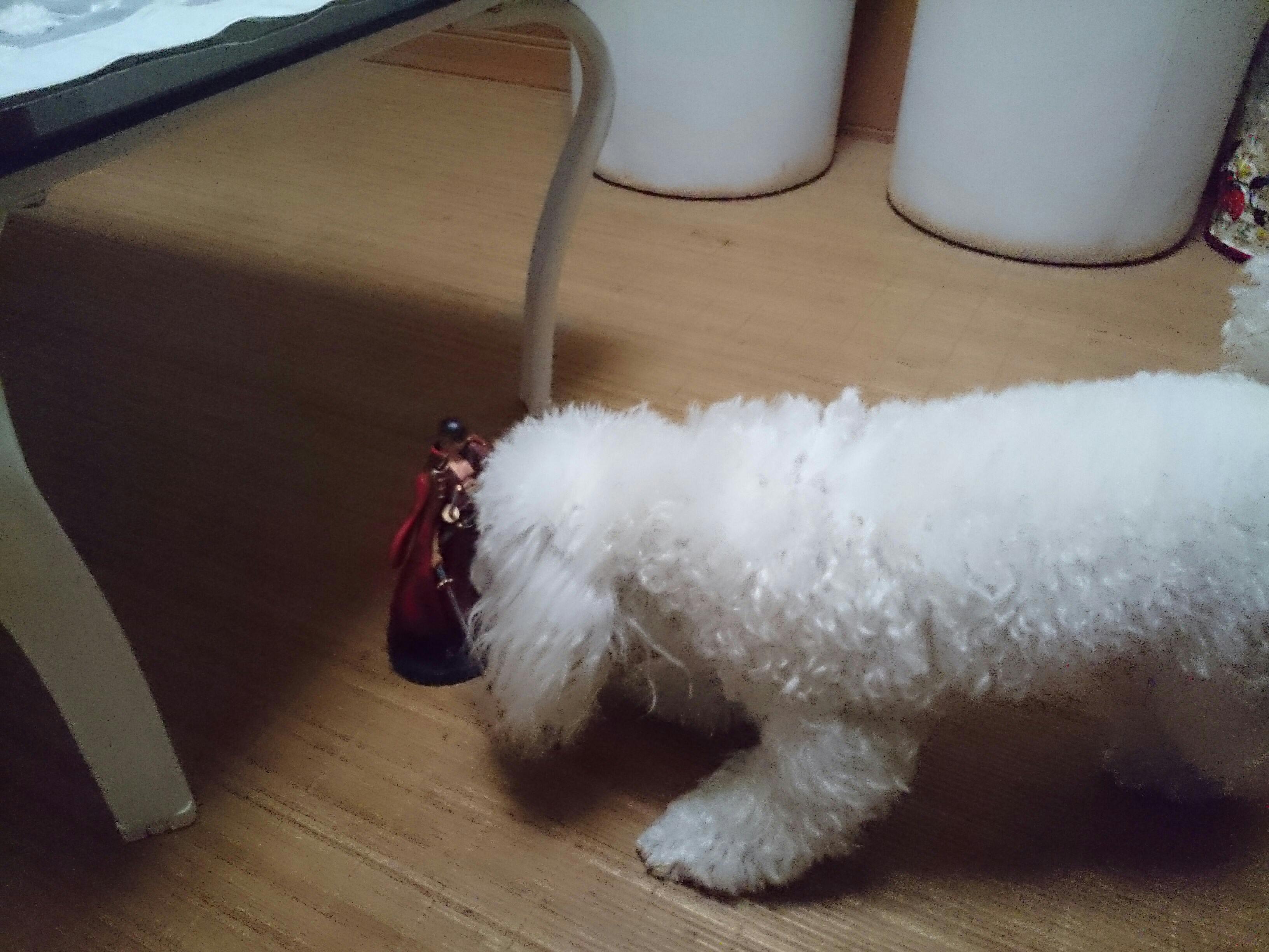 20141007014700d0e.jpg