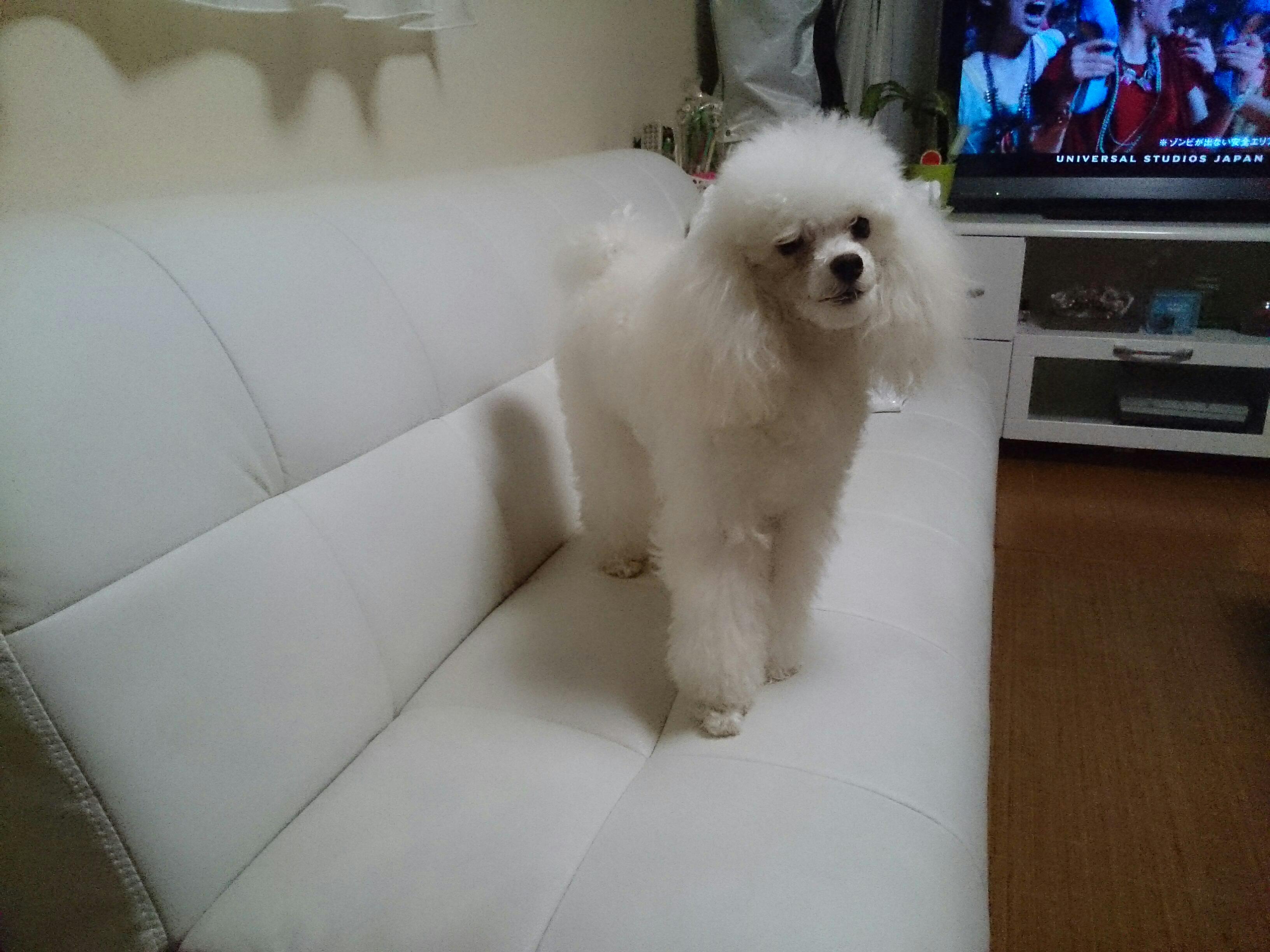20141011010349d56.jpg