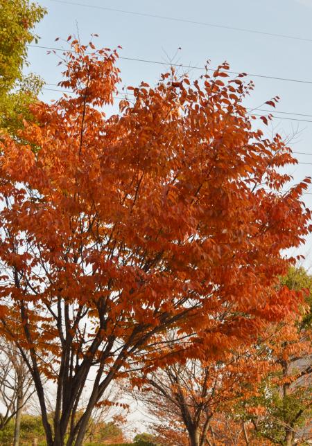 2013-11-43.jpg