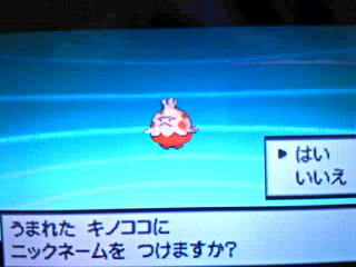 mini_121006_2104000100010001.jpg