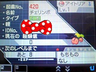 ★チェリンボ