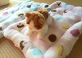 ふわふわマカロンベッド2