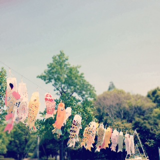 3_20120505100206.jpg
