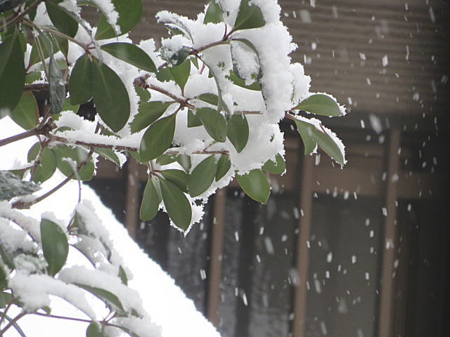 01_201402160018590d3.jpg