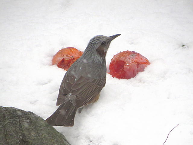 06_20140216001933b67.jpg