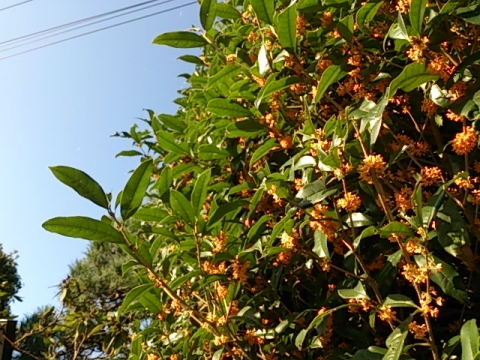 20140929 1