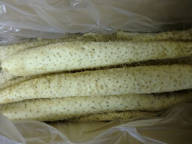 フォト