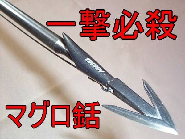 フォト