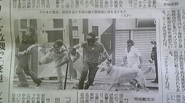 写真