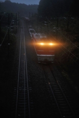 EF81_462