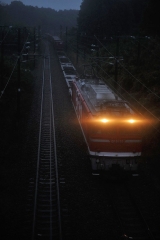 EF81_464