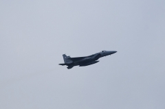 Hyakuri AB_F-15J_196