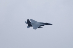 Hyakuri AB_F-15J_199