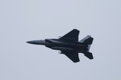 Hyakuri AB_F-15J_203