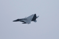 Hyakuri AB_F-15J_204