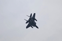 Hyakuri AB_F-15J_208