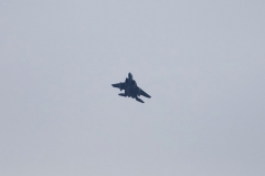 Hyakuri AB_F-15J_216