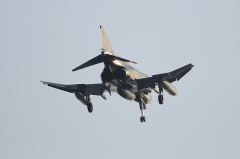 Hyakuri AB_RF-4E_112
