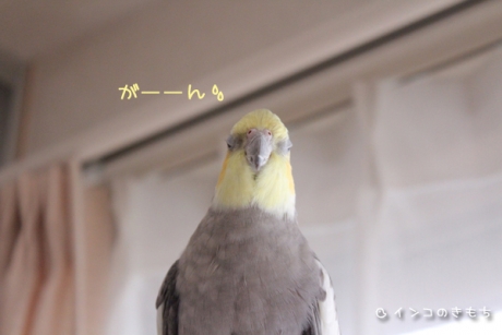 20140911-4