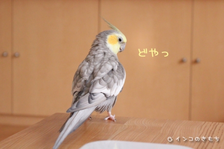 20140911-7