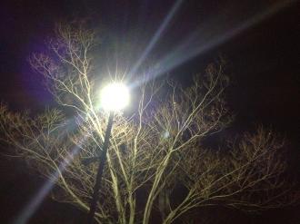 画像_convert_20131204000624