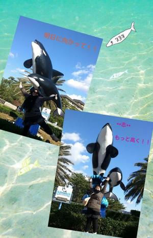 島津 真苗さん_convert_20131211001850