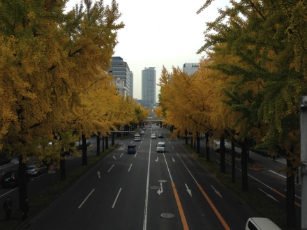 131127marunouchi (1)