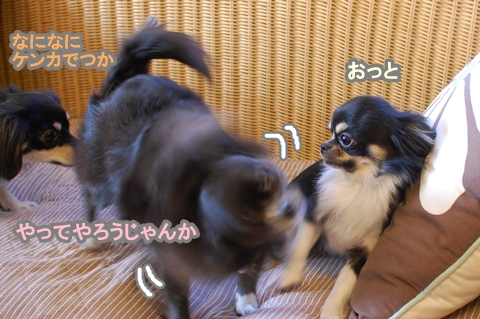 120214011
