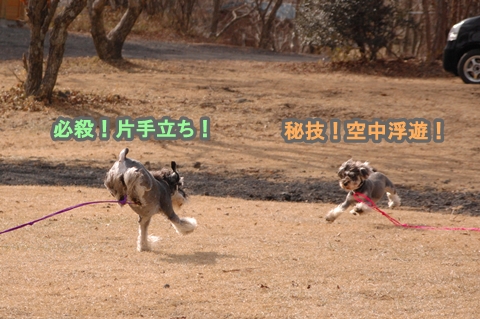 1203035