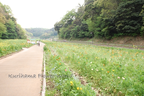 2012053