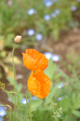 2012055
