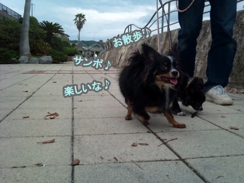 1205041