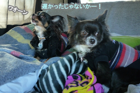 1kanazawa11