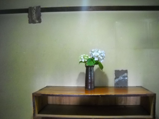 134_20130206083643.jpg