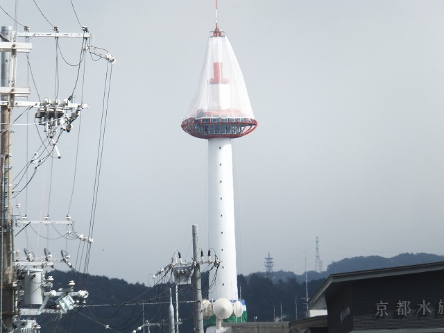 305.jpg