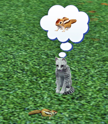 20130606004.jpg