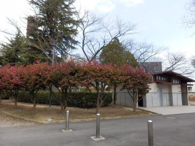 郡山の散策2