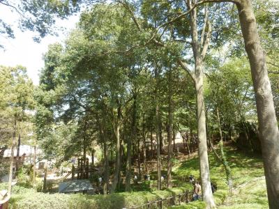 あけぼの山農業公園3