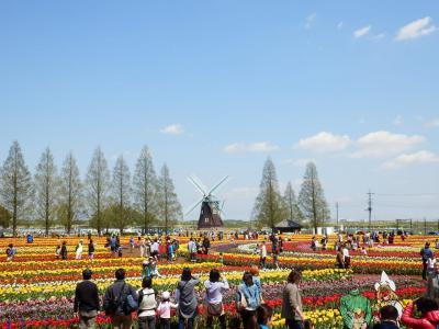 あけぼの山農業公園7
