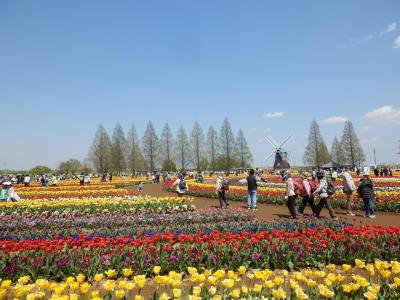 あけぼの山農業公園9