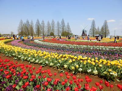 あけぼの山農業公園10