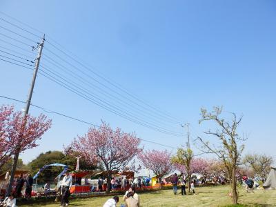 あけぼの山農業公園12